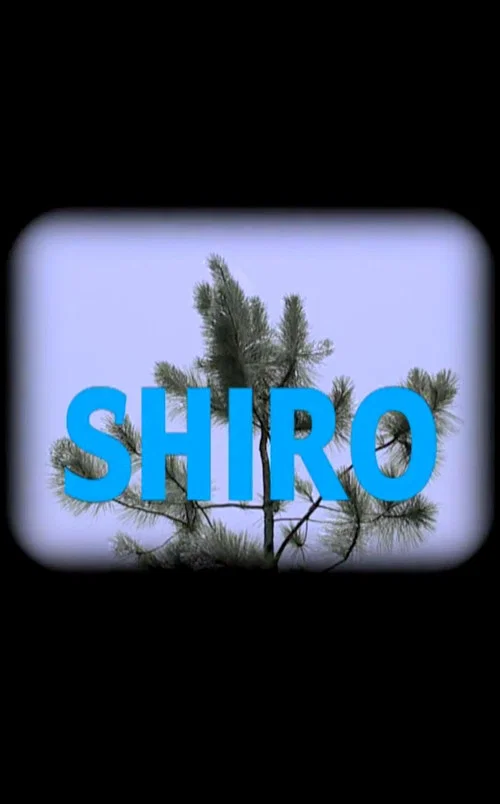 Shiro постер