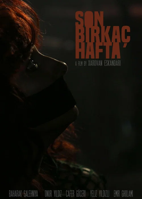 Son Birkaç Hafta постер