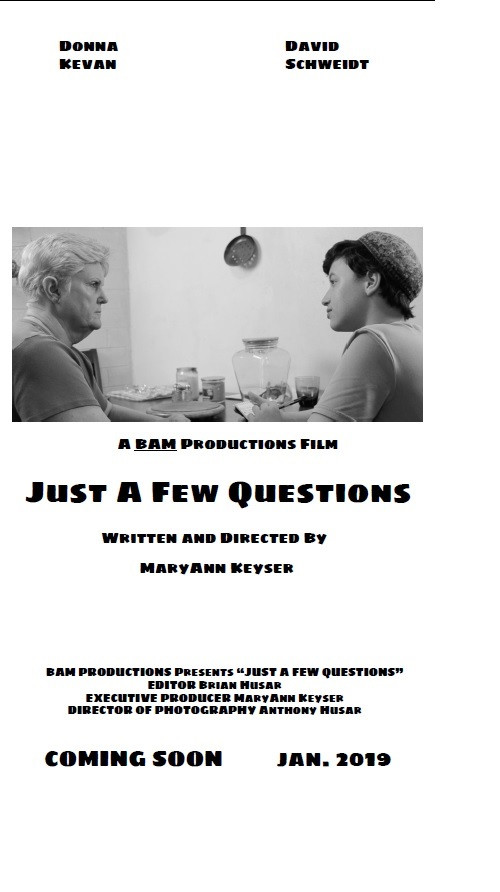 Just a Few Questions постер