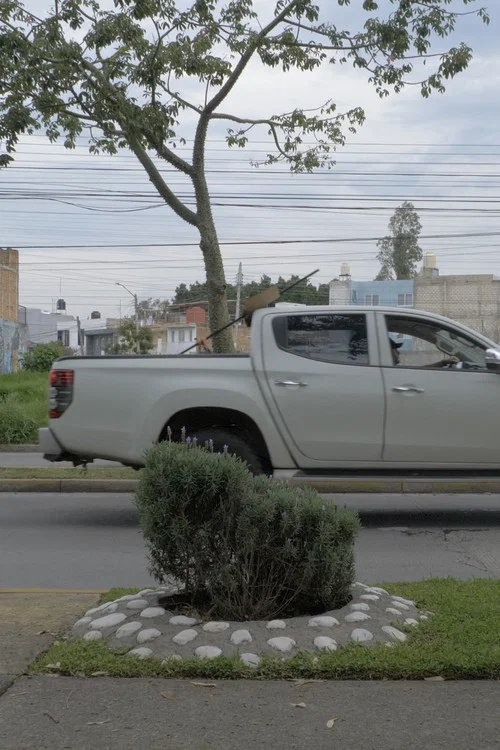 significantes, uno de cinco постер