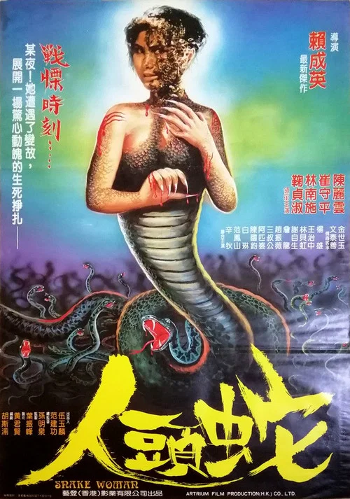 夢女恨 постер