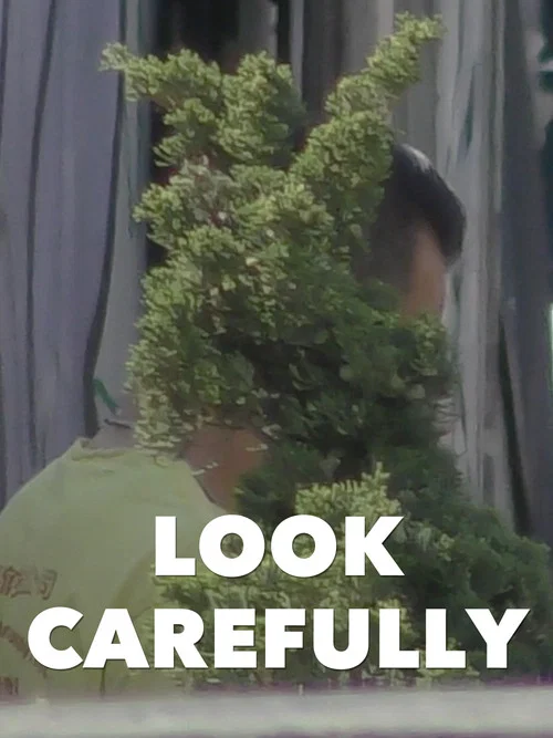Look Carefully постер