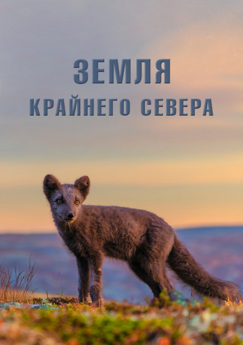Земля Крайнего Севера постер