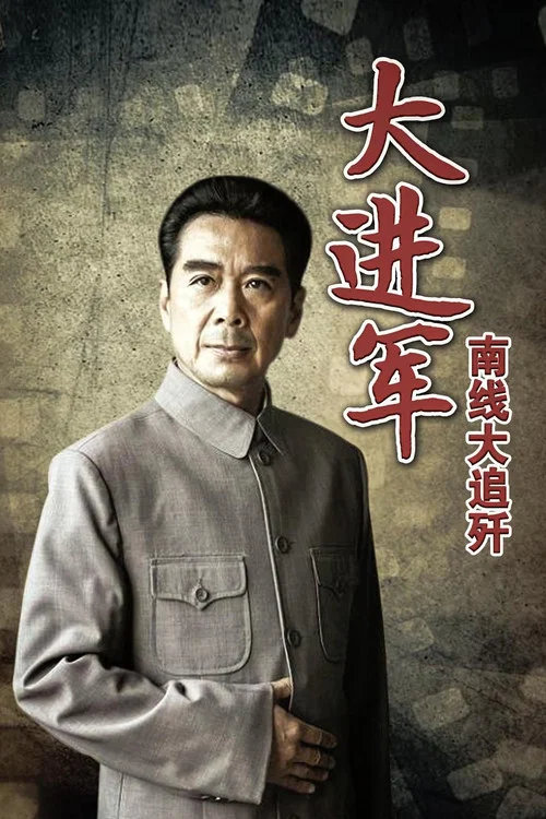 大进军2：南线大追歼 постер