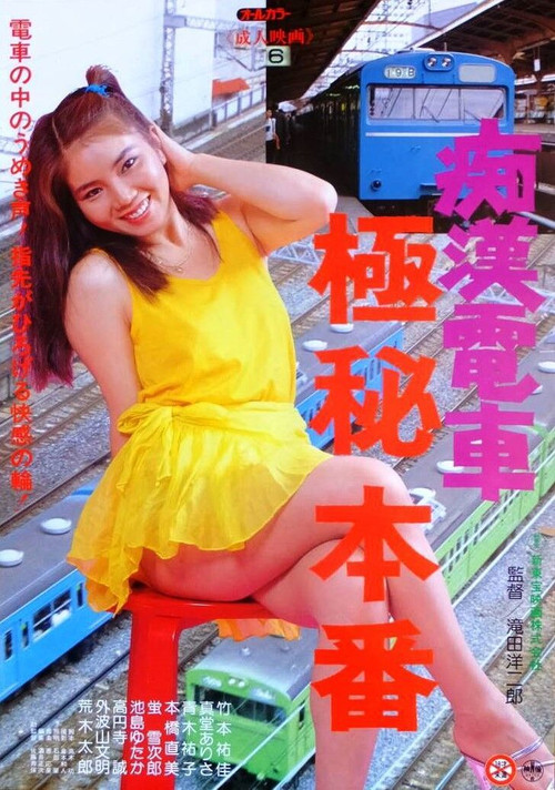 痴漢電車　極秘本番 постер