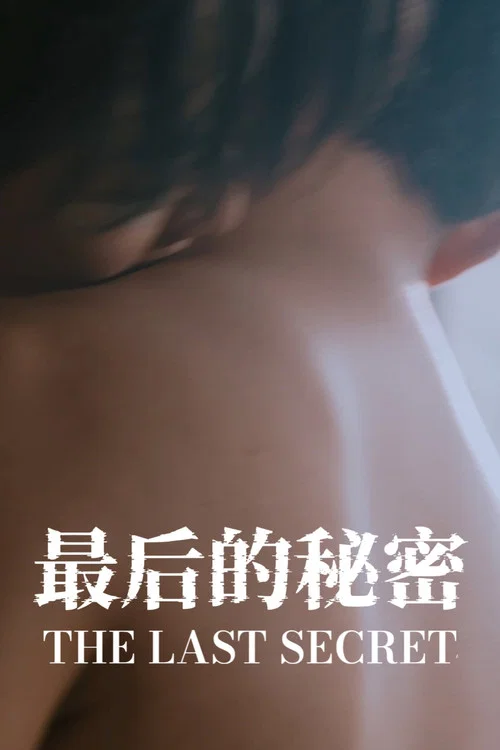 最后的秘密 постер