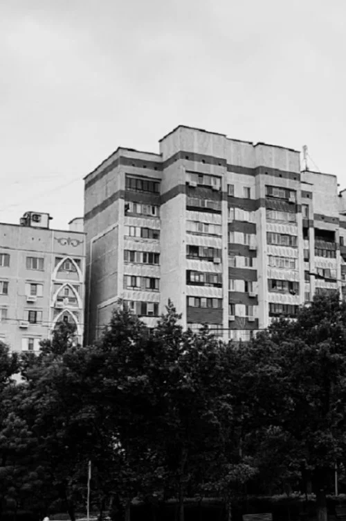 Determination постер
