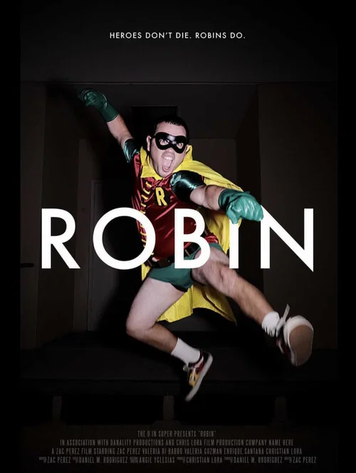 ROBIN постер