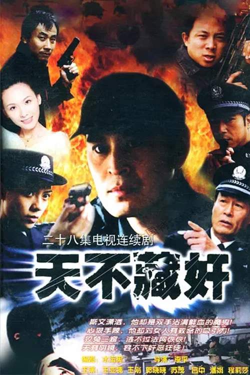 天不藏奸 постер