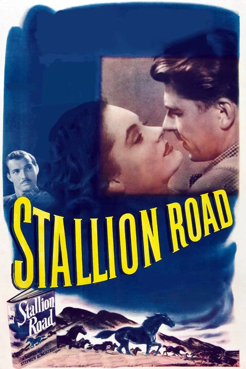 Stallion Road постер