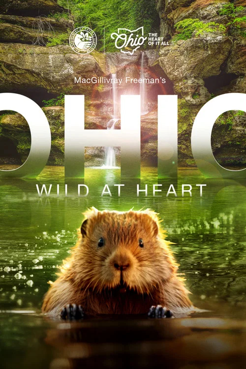 Ohio: Wild at Heart постер