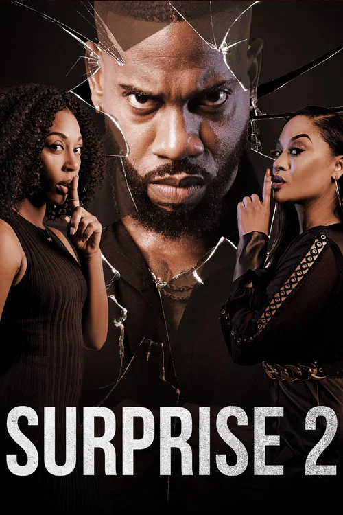 Surprise 2 постер