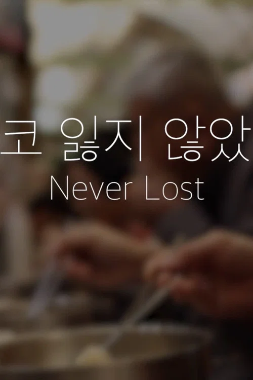 Never Lost (결코 잃지 않았다) постер