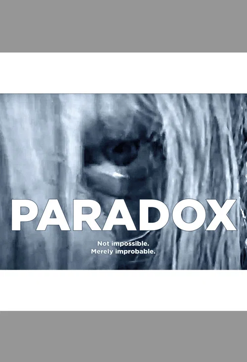 Paradox постер