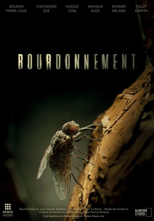 Bourdonnement постер