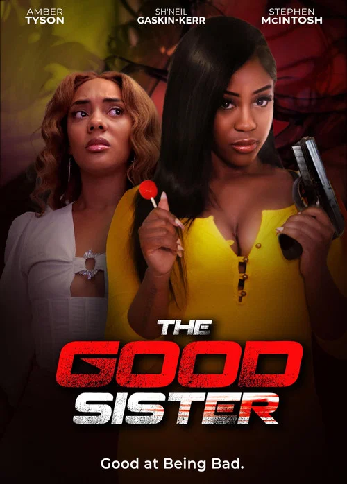 The Good Sister постер