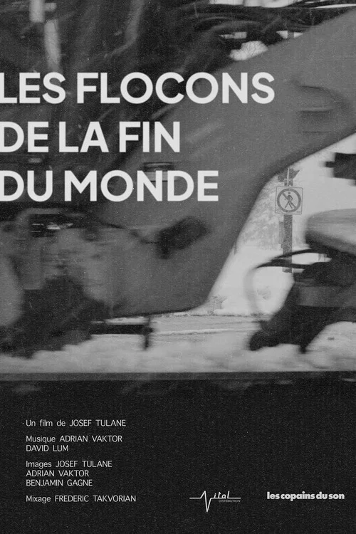Les flocons de la fin du monde постер
