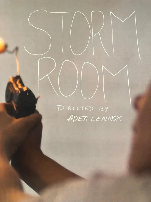 Storm Room постер