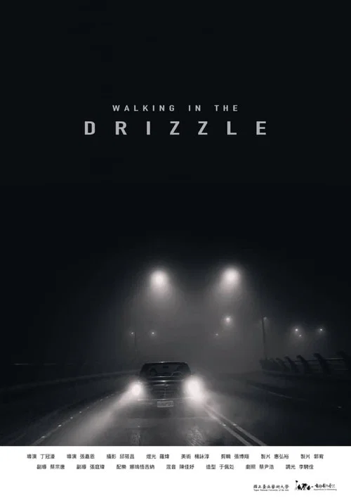 Walking in the Drizzle постер
