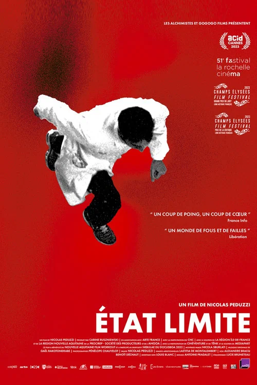 État limite постер
