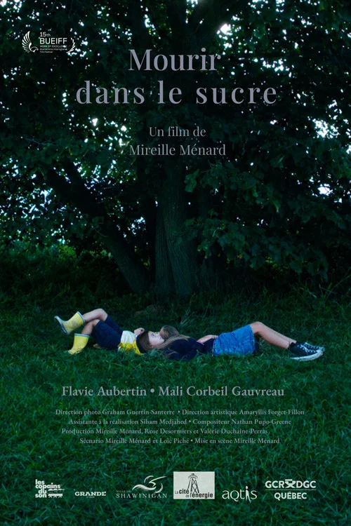Mourir dans le sucre постер