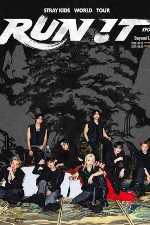Beyond Live - Stray Kids world tour постер