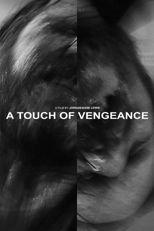 A Touch of Vengeance постер