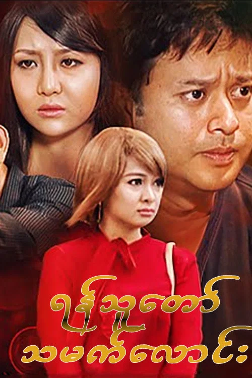 ရန်သူတော်သမက်လောင်း постер