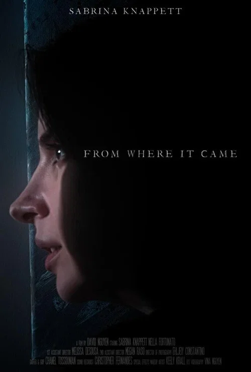 From Where It Came постер