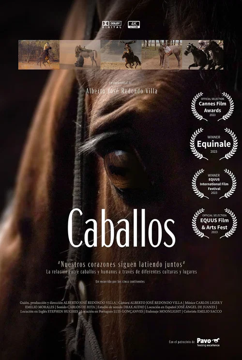 Caballos постер