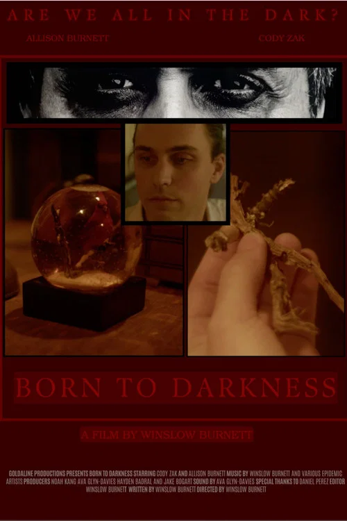 Born to Darkness постер