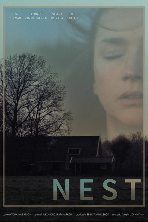 Nest постер