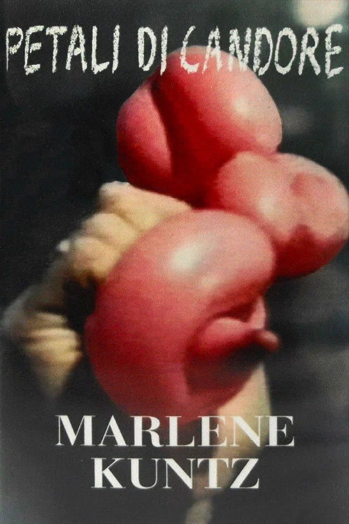 Marlene Kuntz: Petali di Candore постер