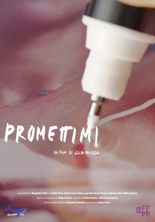 Promettimi постер