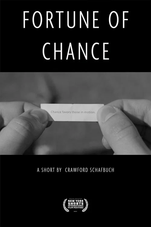 Fortune of Chance постер