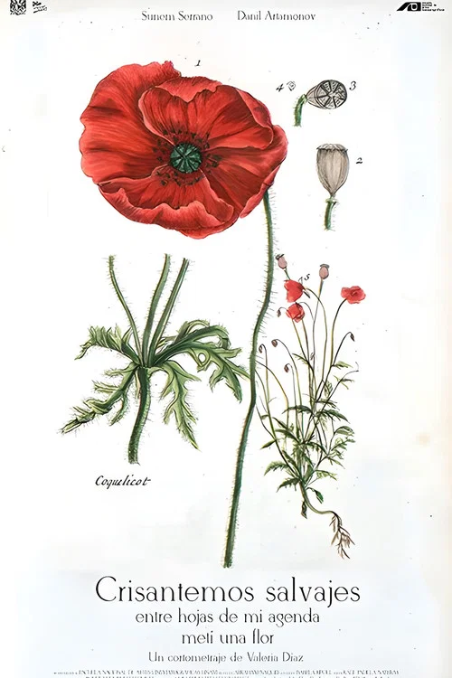 Crisantemos salvajes entre hojas de mi agenda metí una flor постер