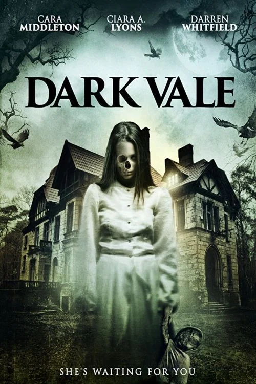 Dark Vale постер