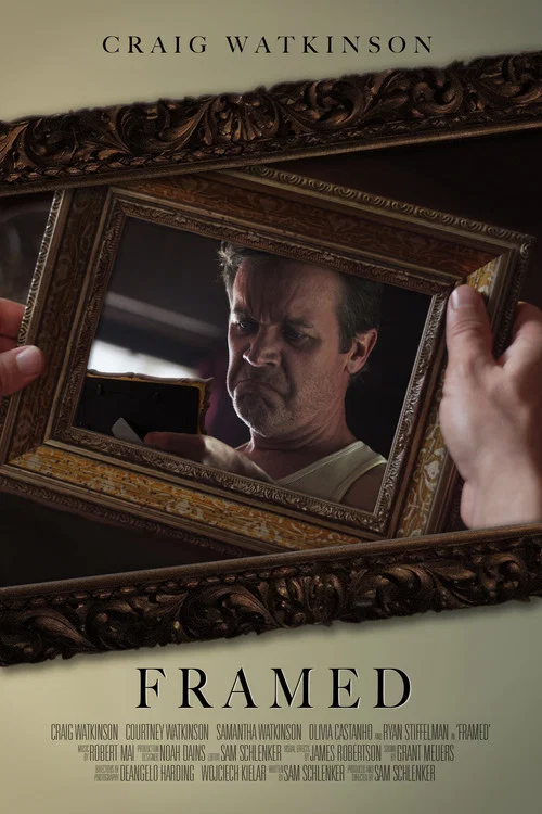 Framed постер