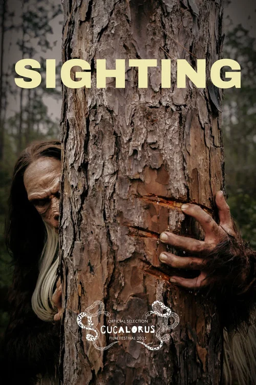 Sighting постер