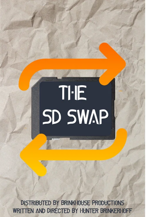 The SD Swap постер