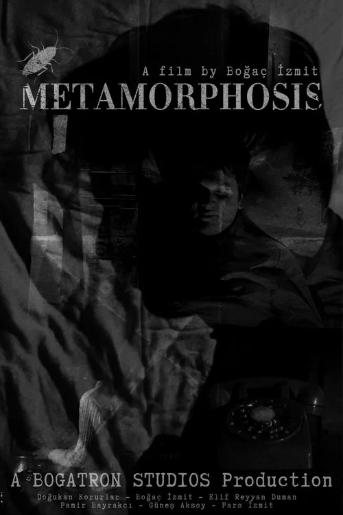 METAMORPHOSIS постер