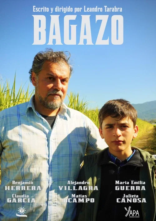 Bagazo постер