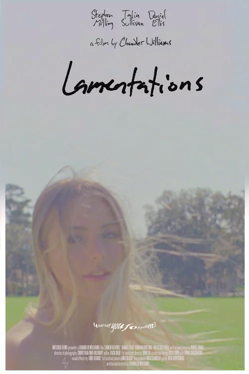 Lamentations постер