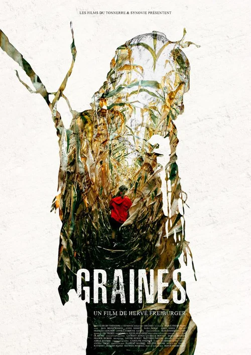 Graines постер