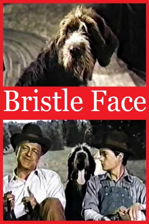 Bristle Face постер