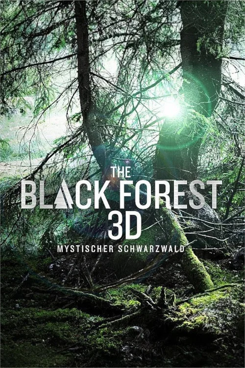 The Black Forest - Mystischer Schwarzwald постер