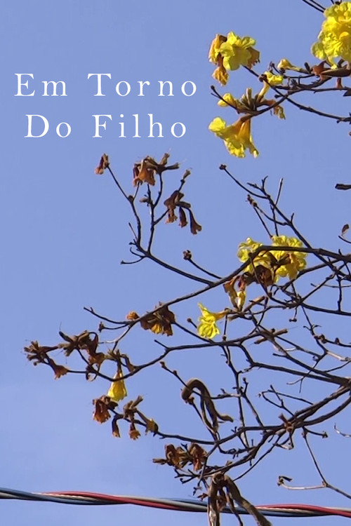 Em Torno Do Filho постер
