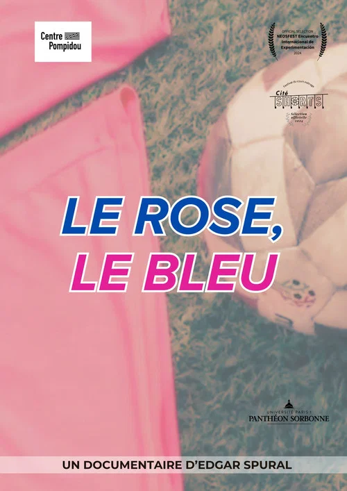 Le rose, le bleu постер