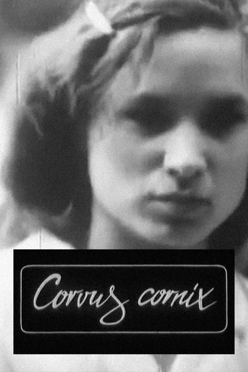 Corvus Cornix — с латинского ворона постер