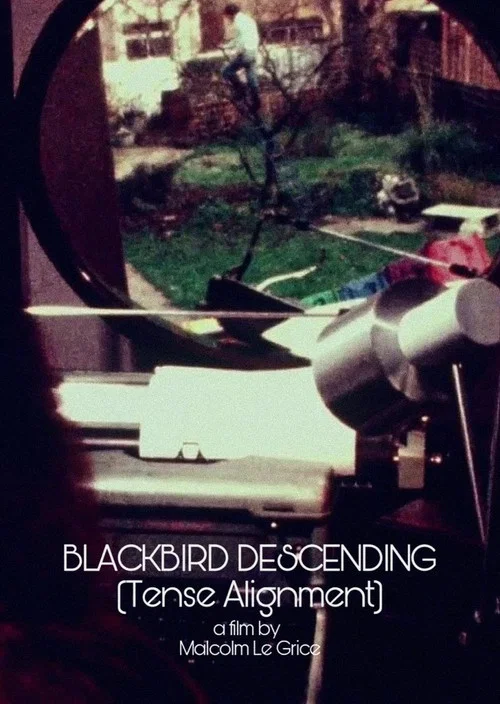 Blackbird Descending постер